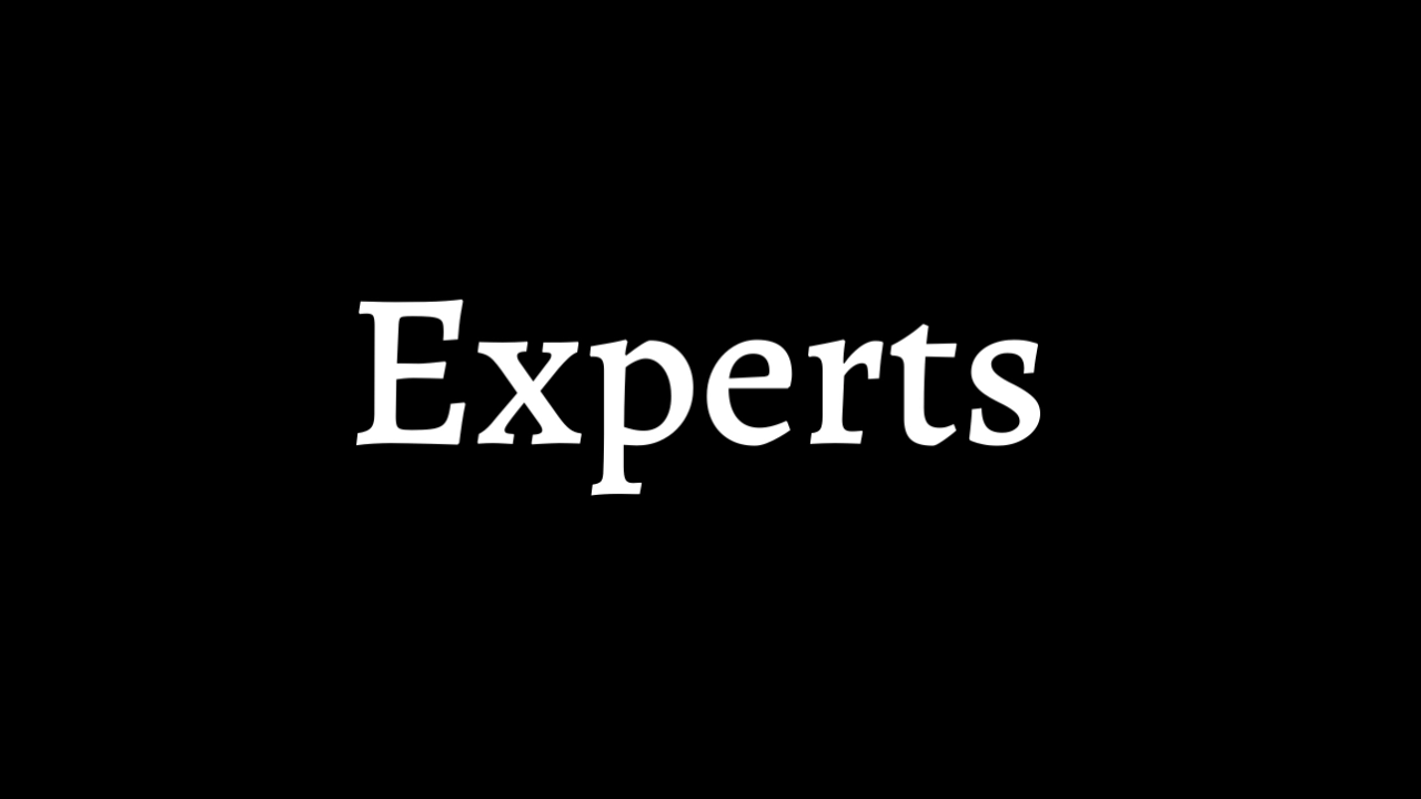 Experts Network